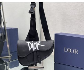 디올 DIOR Saddle Bag 새들 백