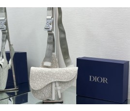 디올 DIOR Saddle Bag 새들 백